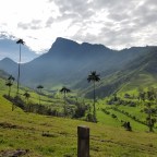 Salento and the Cocora Valley